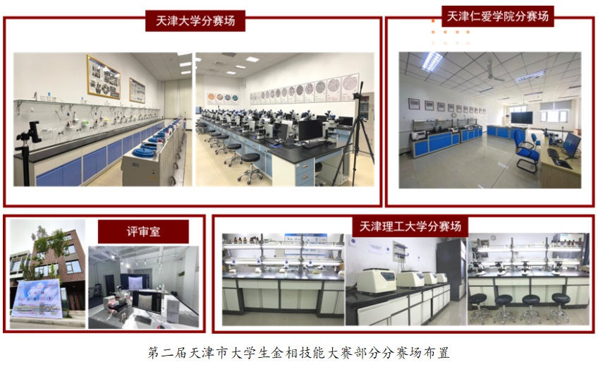 �ڶ�������д�ѧ�����༼�ܴ������ַ���������